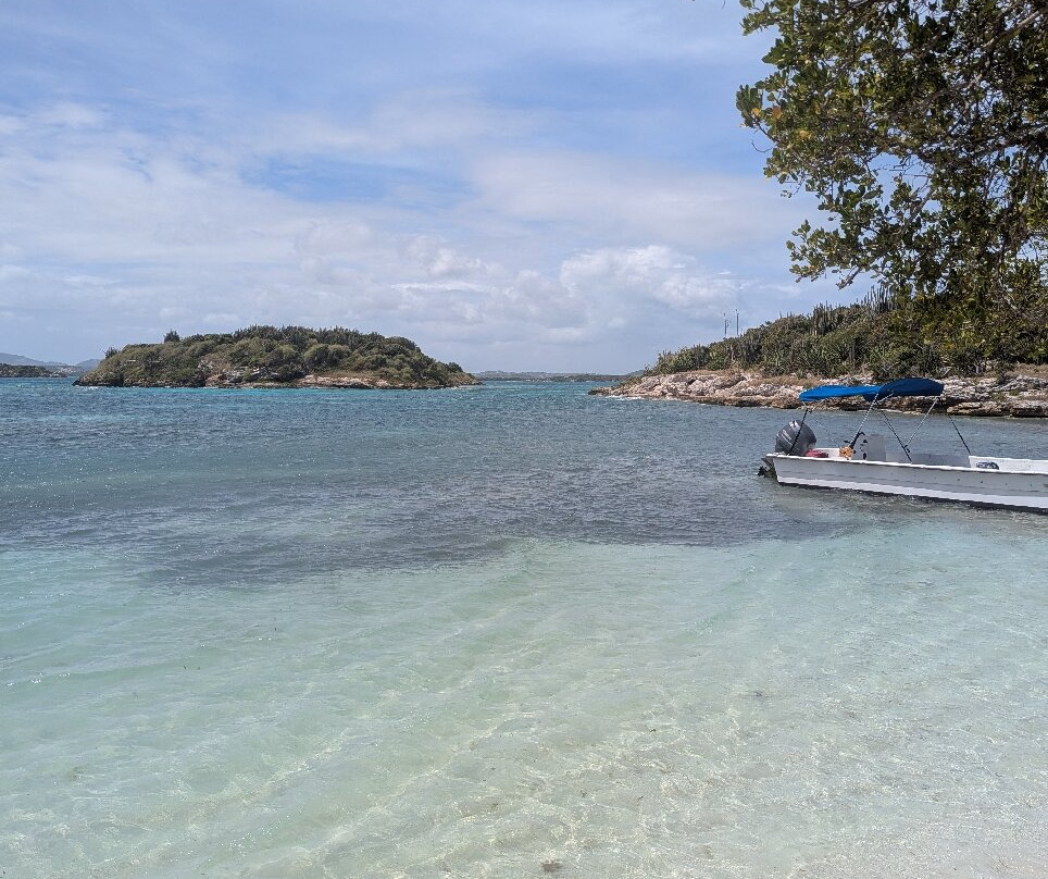 Antigua Nature Tours-圣 约翰必去景点