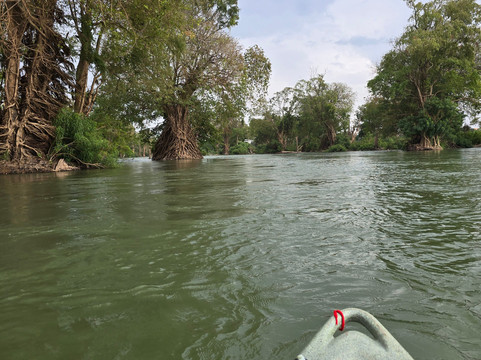 Dolphin Kayaking Adventures-Kratie必去景点