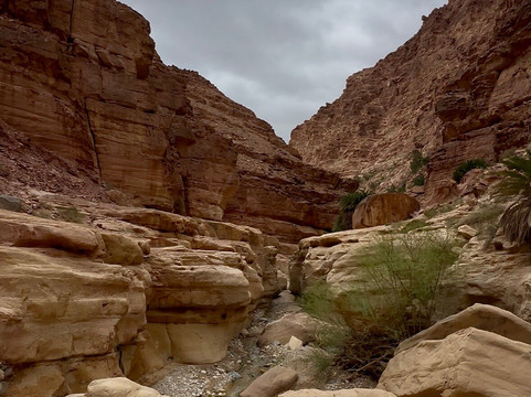Jordan Trail Adventures-佩特拉必去景点