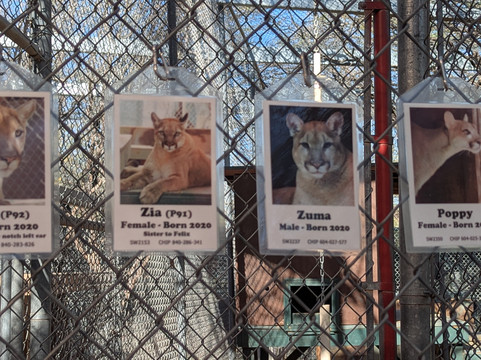 Southwest Wildlife Conservation Center-斯科茨代尔必去景点