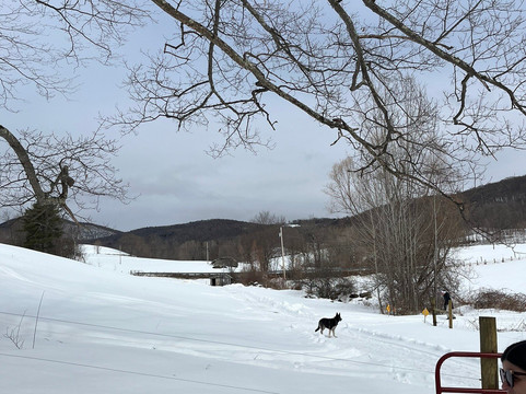 Baird Farm Vermont Maple Syrup-奇滕登必去景点