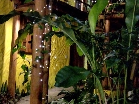 Pousada Aldeia主图