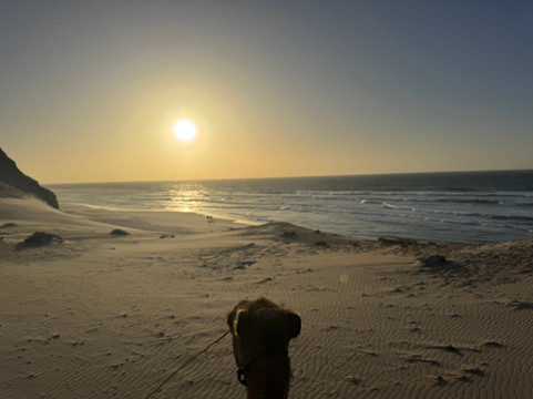 Ranch Des Dunes-达赫拉必去景点