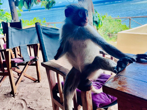 Eden Rock Zanzibar主图