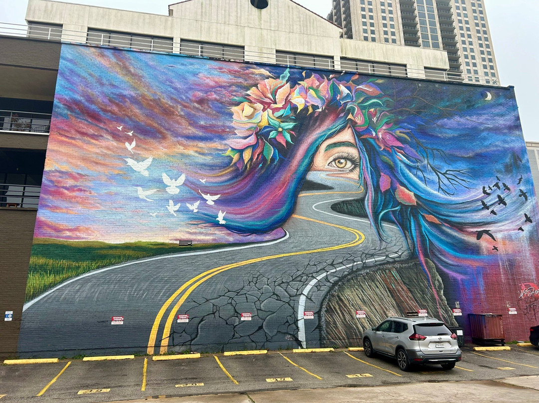 Segway Tours of Houston-休斯顿必去景点