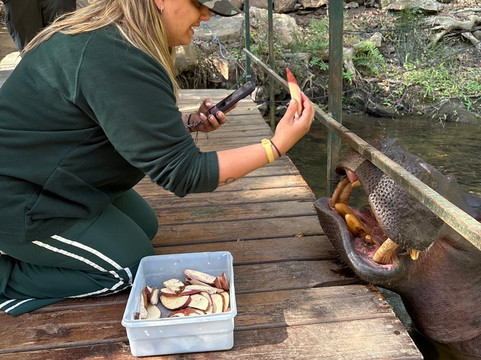 Hippo Jessica-霍德斯普鲁特必去景点