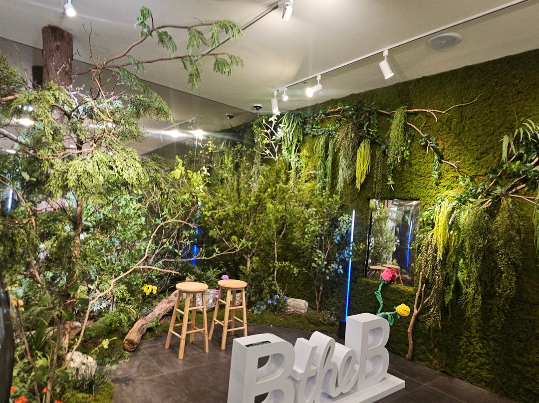 B The B-首尔必去景点