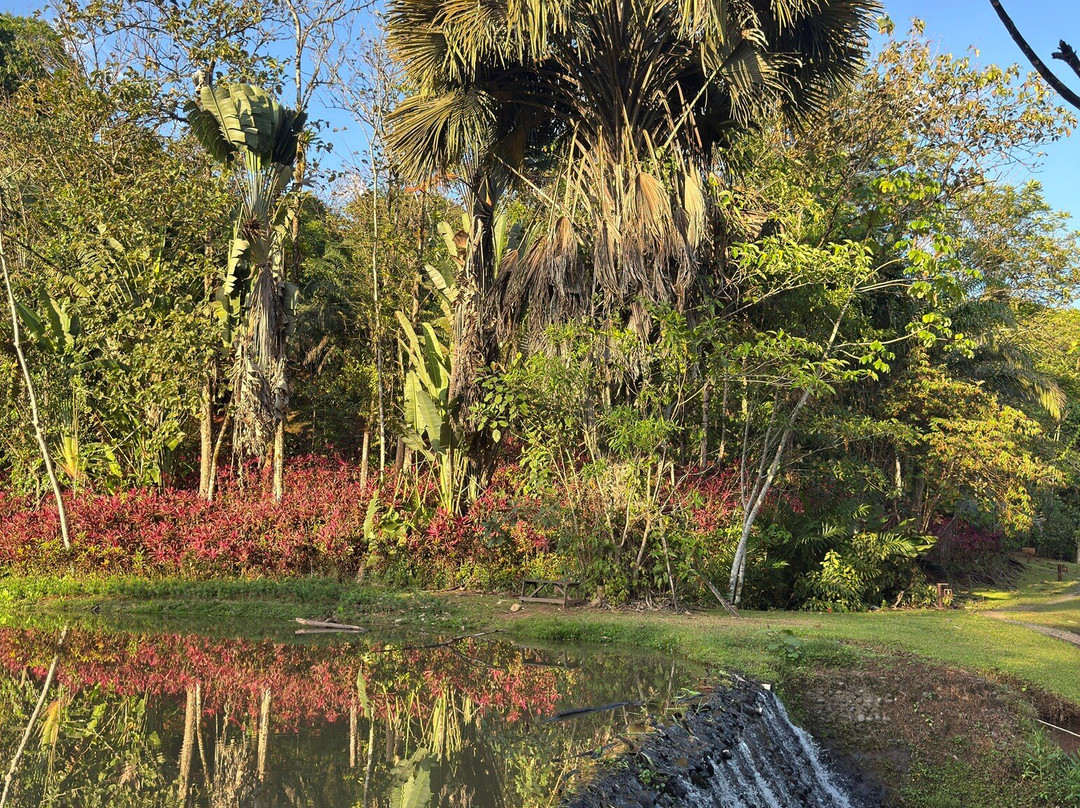 Bella Aventura Costa Rica-Santo Domingo de Heredia必去景点