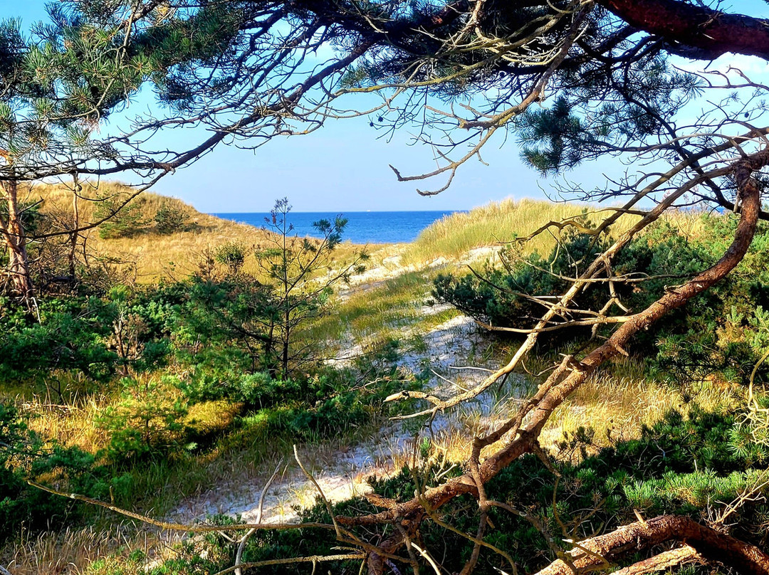 Weststrand-Ostseebad Prerow必去景点