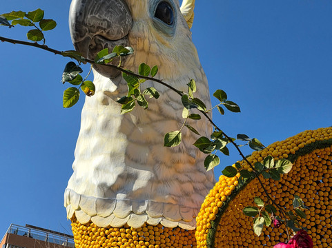 比欧维花园-芒通必去景点