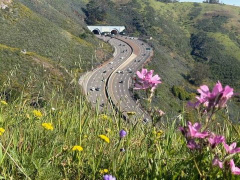 Robin Williams Rainbow Tunnel
