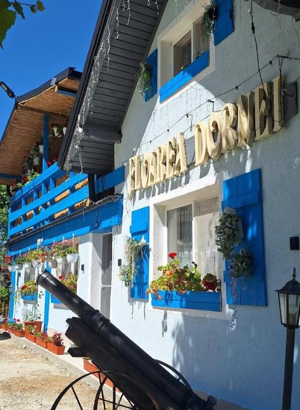 Pensiunea Floarea Dornei