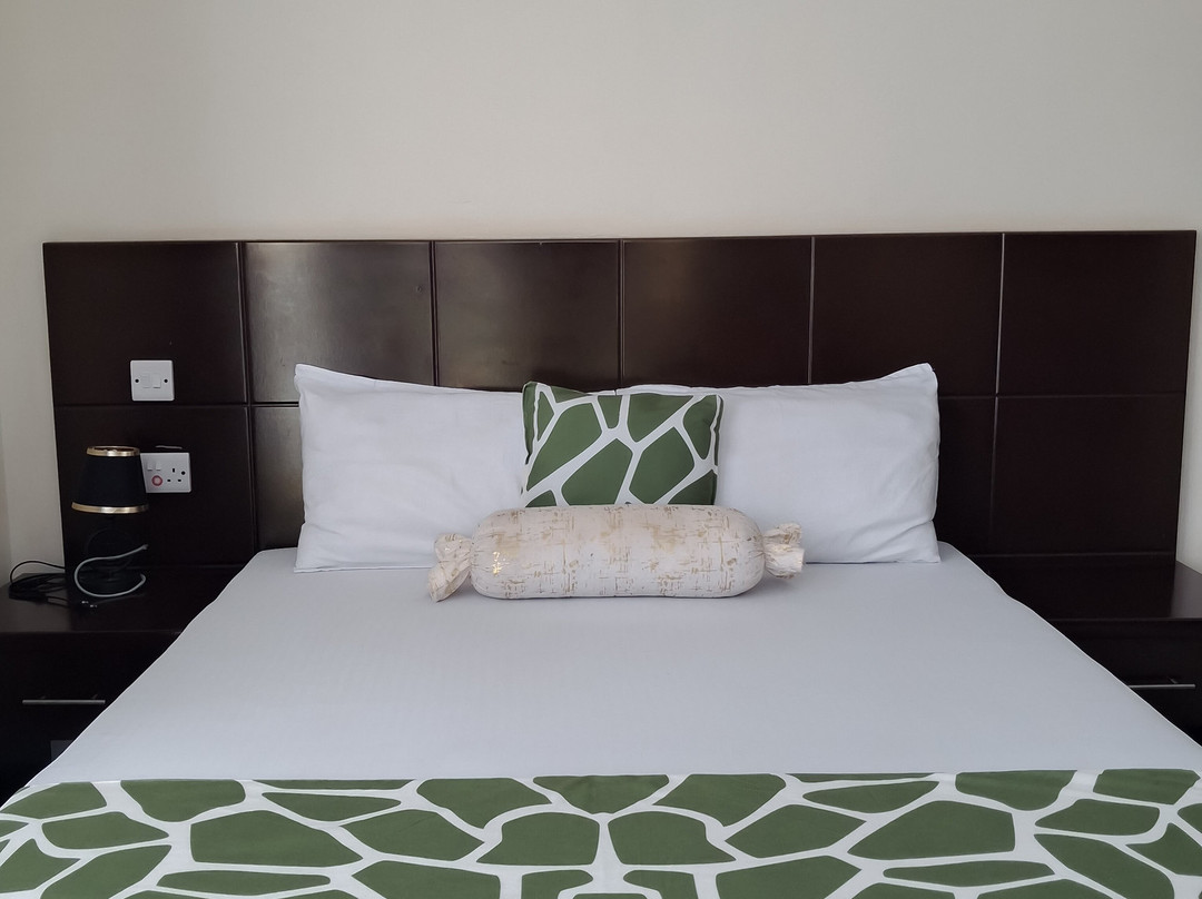 Snow View Rau Apartments主图