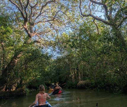Kayak journey-Rekawa必去景点