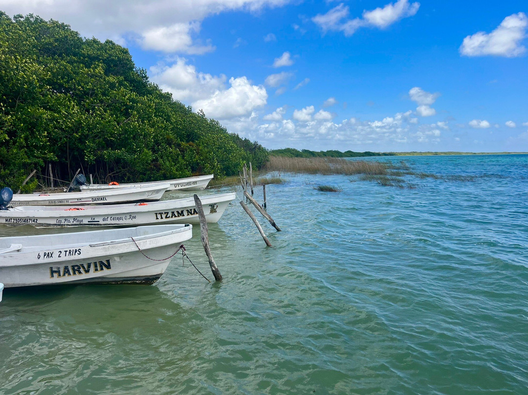 Zona Arqueológica de Muyil-Chunyaxche必去景点