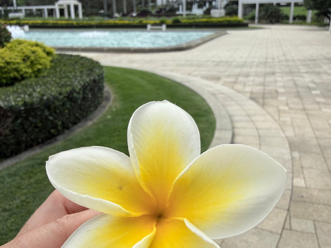 Laie Hawaii Temple-拉叶必去景点