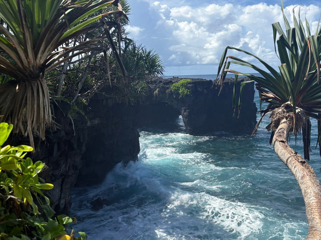 Coastal Lava Cliff Walk-Upolu必去景点