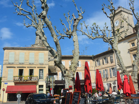 Van Gogh Walk-圣雷米必去景点