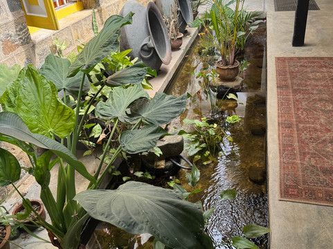 Amba Estate-班达拉维拉必去景点