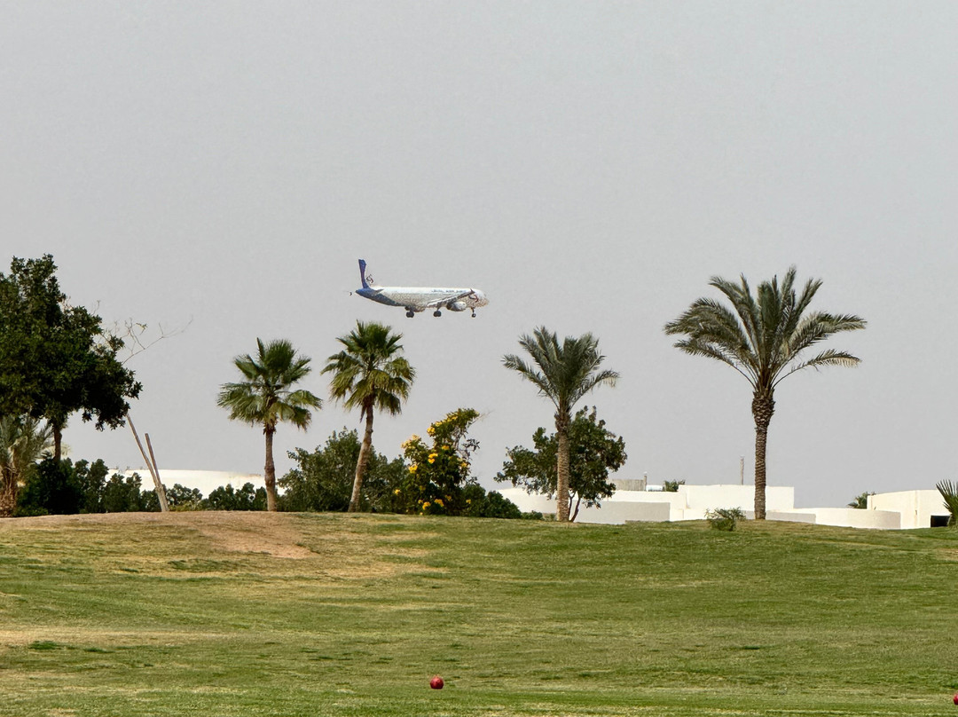 Pickalbatros Golf Course-沙姆沙伊赫必去景点