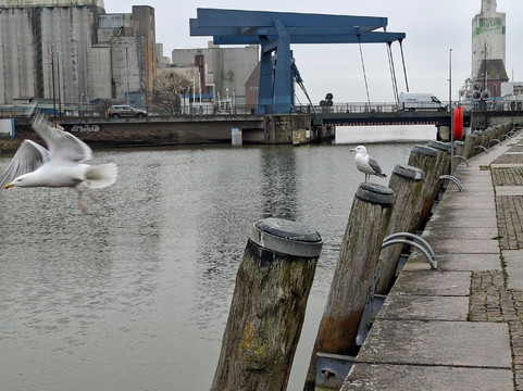 阿尔特斯健身酒店主图