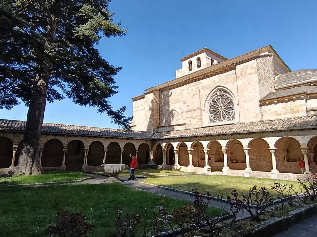 Navark Actividades Guiadas Estella-Estella必去景点