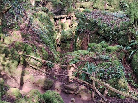 Puzzlewood-Coleford必去景点