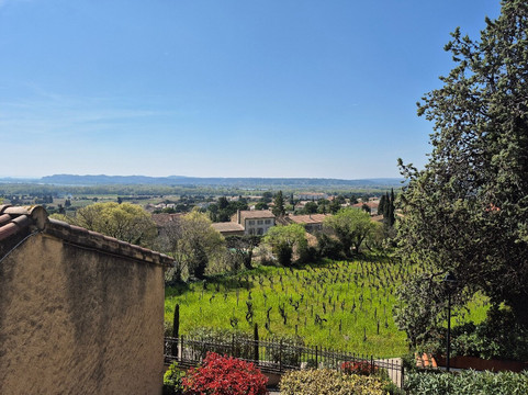 Les Caves Saint Charles-教皇新堡必去景点