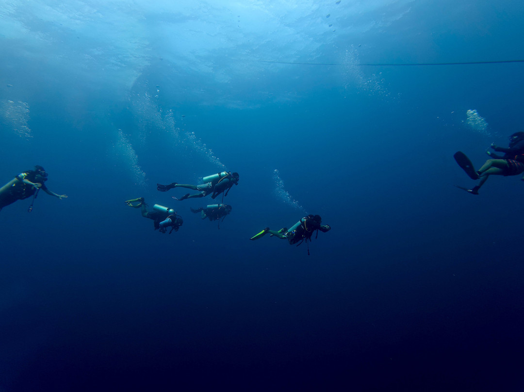 Gypsy Divers Dive Resort-哈夫洛克岛必去景点