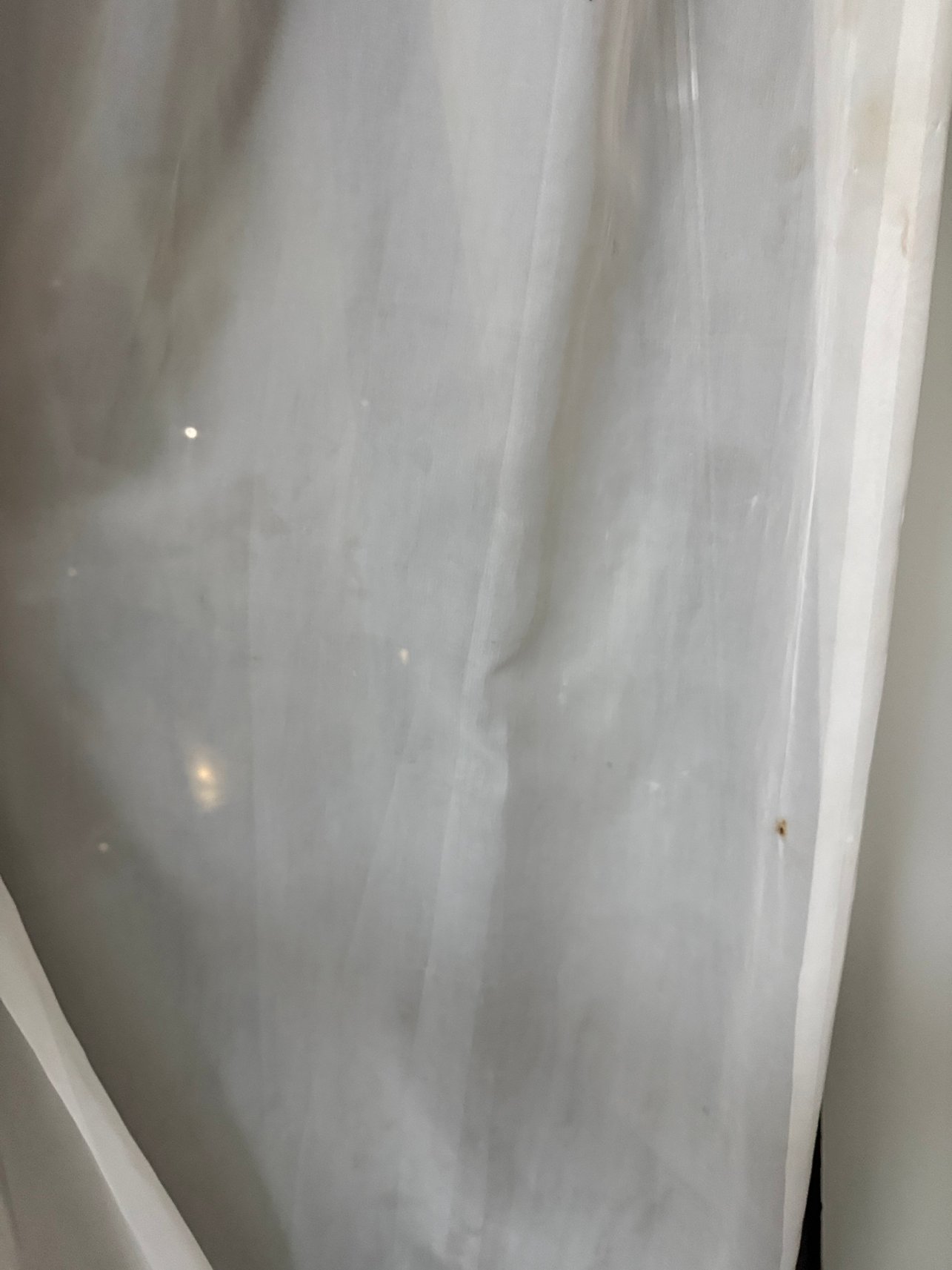 恩萨纳海滨大道-官方