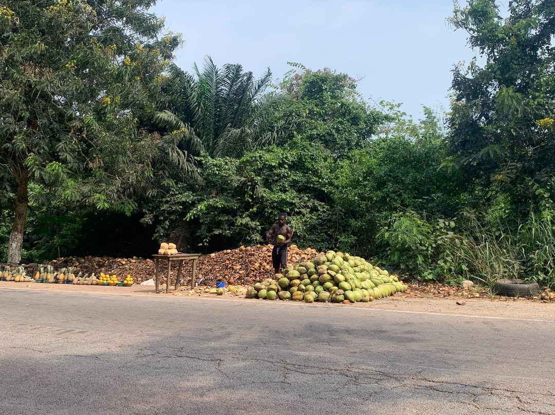 TANF Charity-Tours-Aburi必去景点