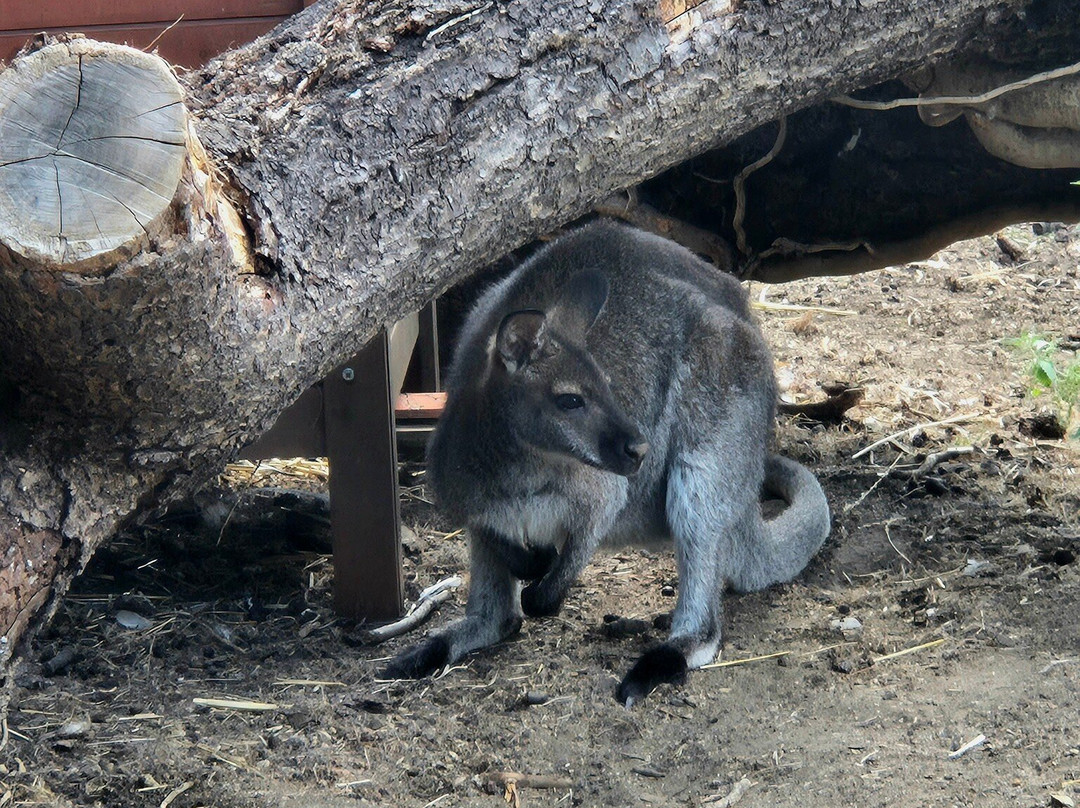 Agri'KIDS-Jarze必去景点