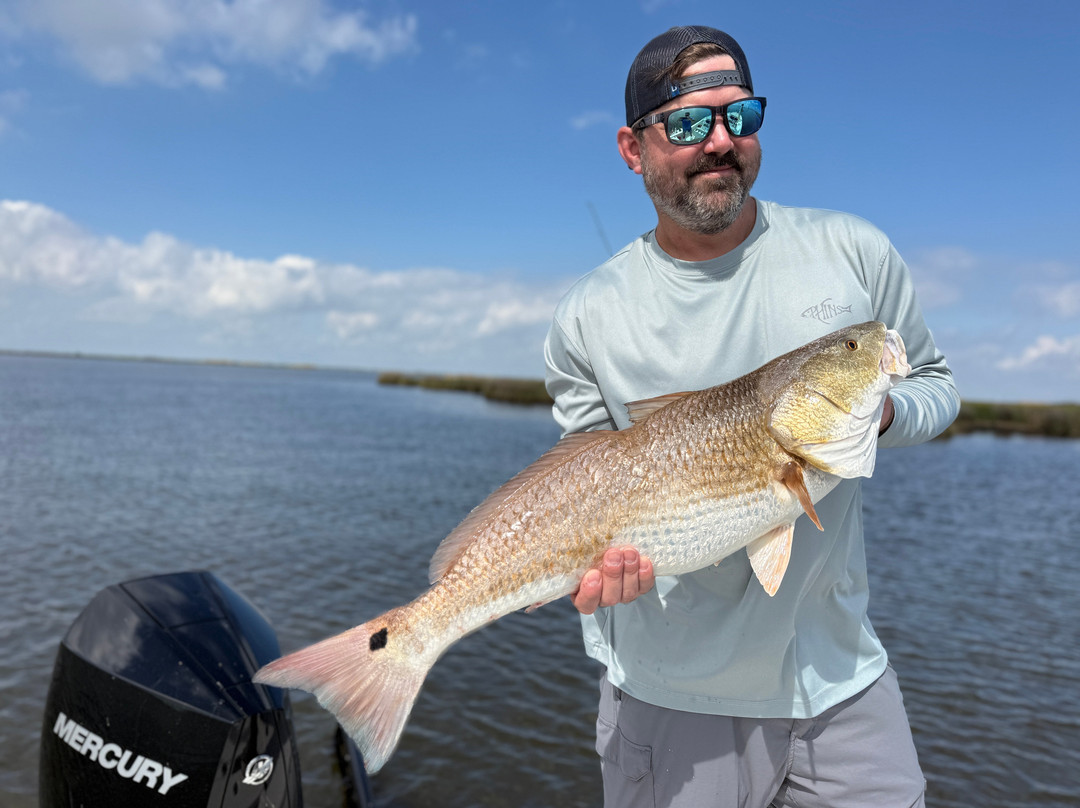 Bayou Charters-Saint Bernard必去景点
