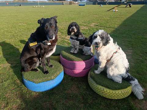Winterton Hound Ground-Winterton-on-Sea必去景点