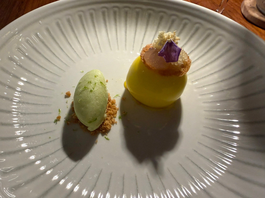 Terra by Jeremy Ford - Adults Only