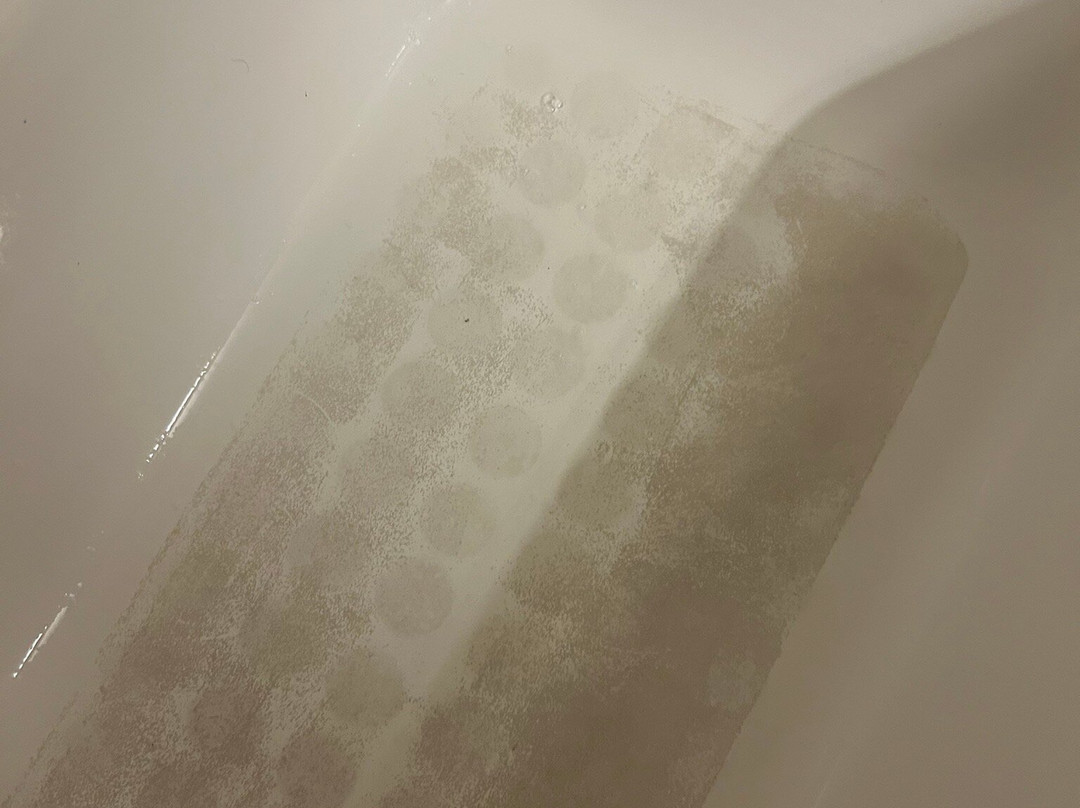 塔斯卡卢萨万枫酒店主图