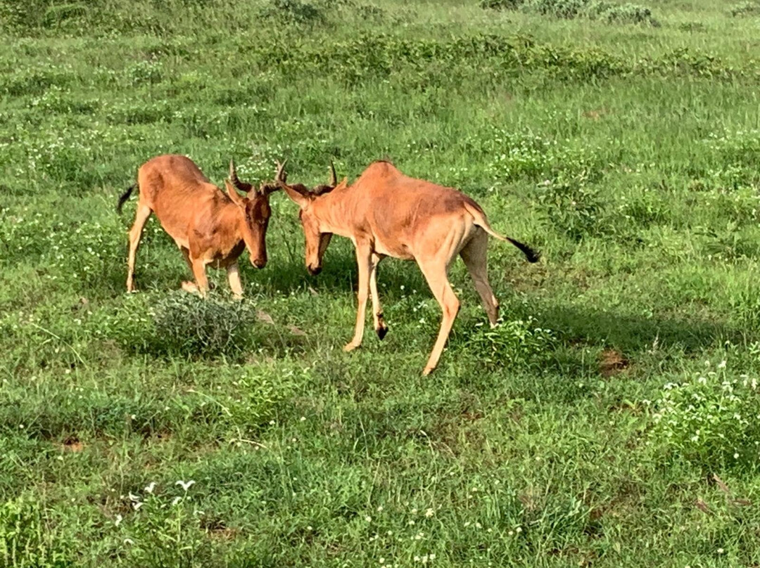 Dida Tours and Safaris-山祖必去景点