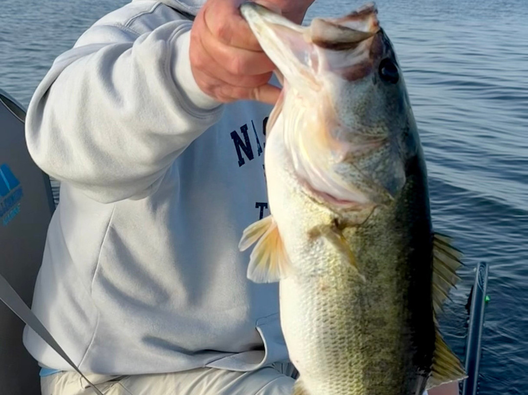 Okeechobee Bass Guide Service-奥基乔比必去景点