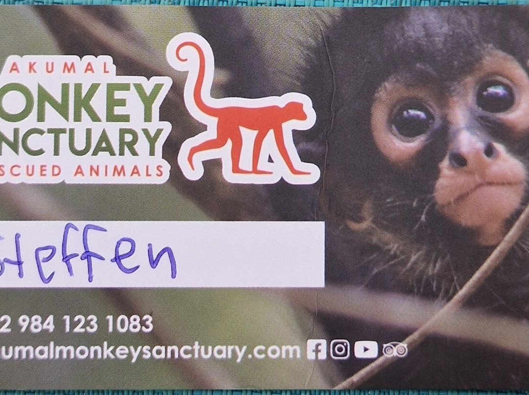 Akumal Monkey Sanctuary & Rescued Animals-艾库玛尔必去景点