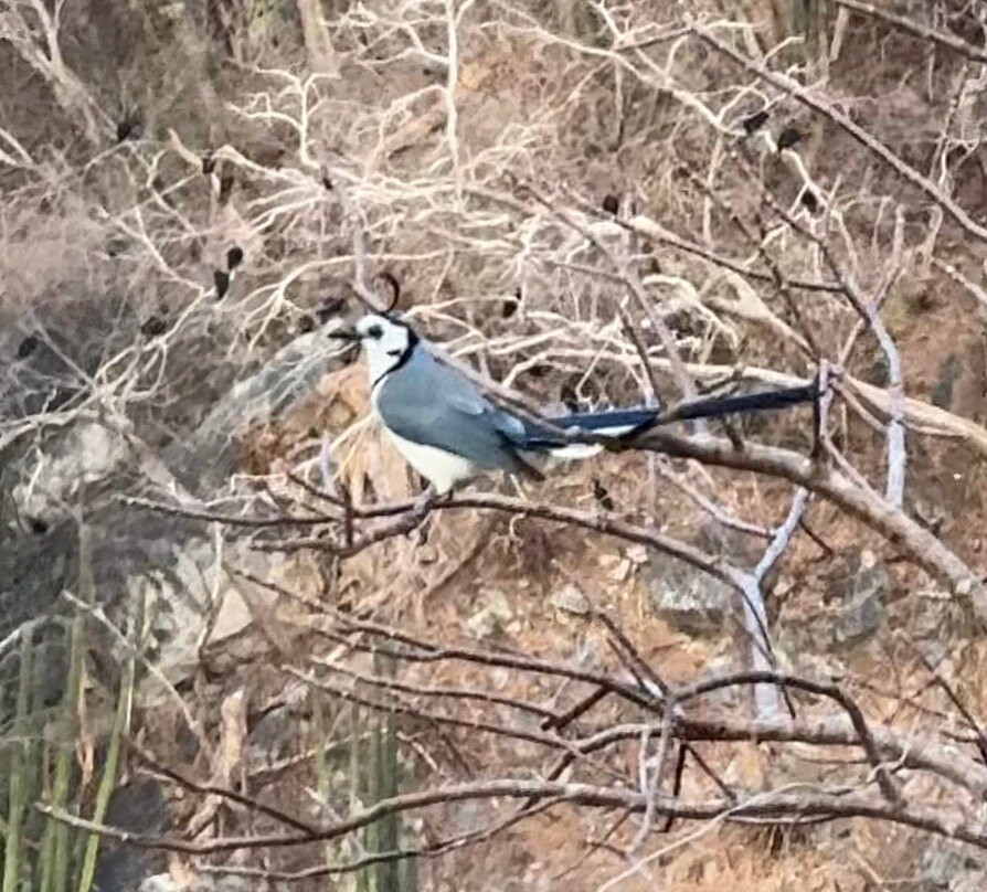 Sweet Retreats Casa Chango-埃斯孔迪多港必去景点