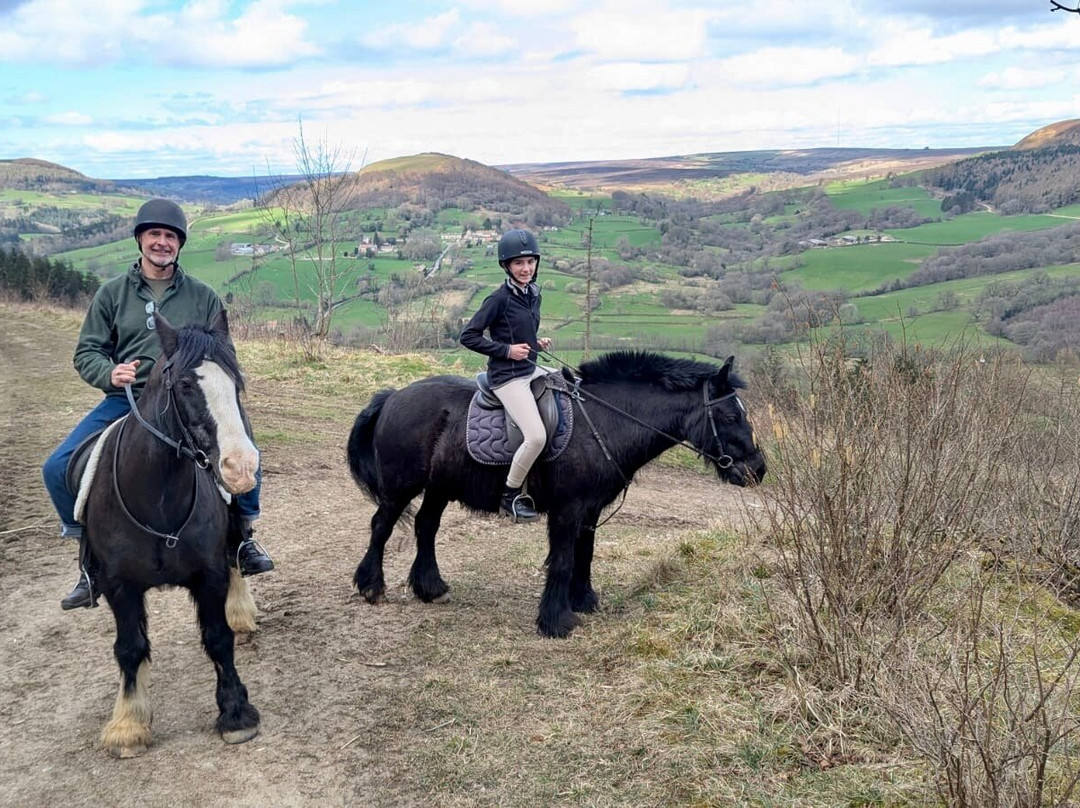 Bilsdale Riding Centre-Hawnby必去景点