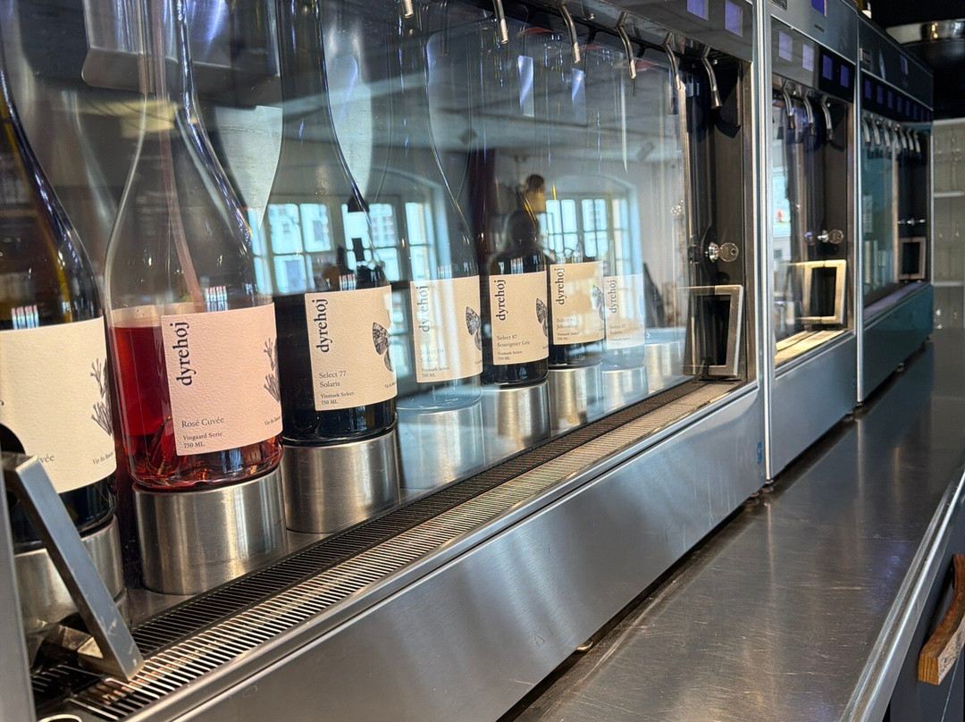 Dyrehoj Vingaard-凯隆堡必去景点