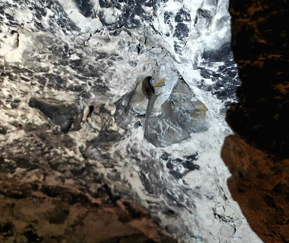 Daugbjerg Kalkgruber-斯基沃必去景点