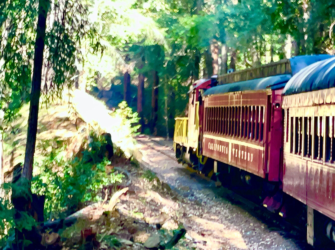 Skunk Train-布拉格堡必去景点