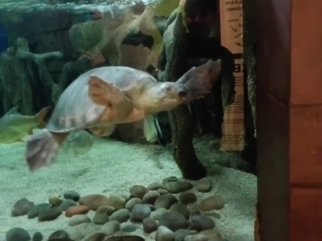 Oceanarium-伯恩茅斯必去景点