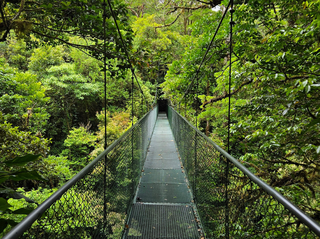 Tiquicia Tours-彭塔雷纳斯必去景点