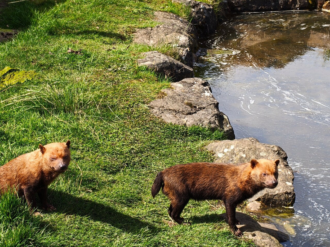 Peak Wildlife Park-Winkhill必去景点