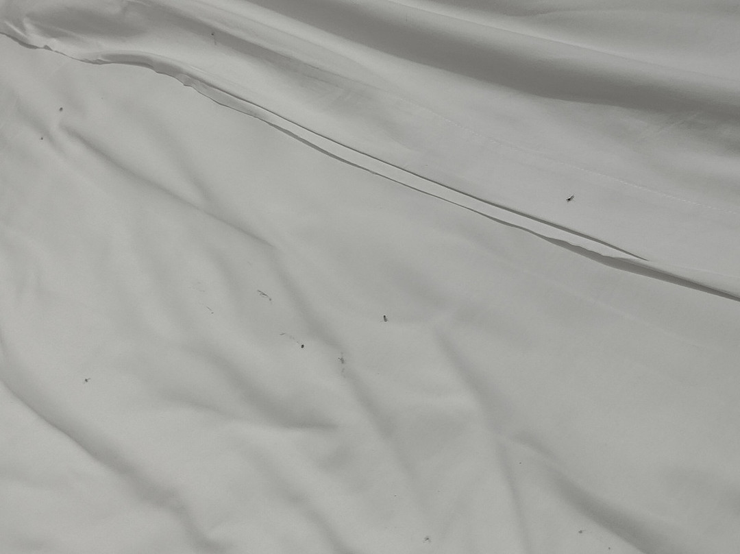 Hacienda Panoaya-Amecameca必去景点