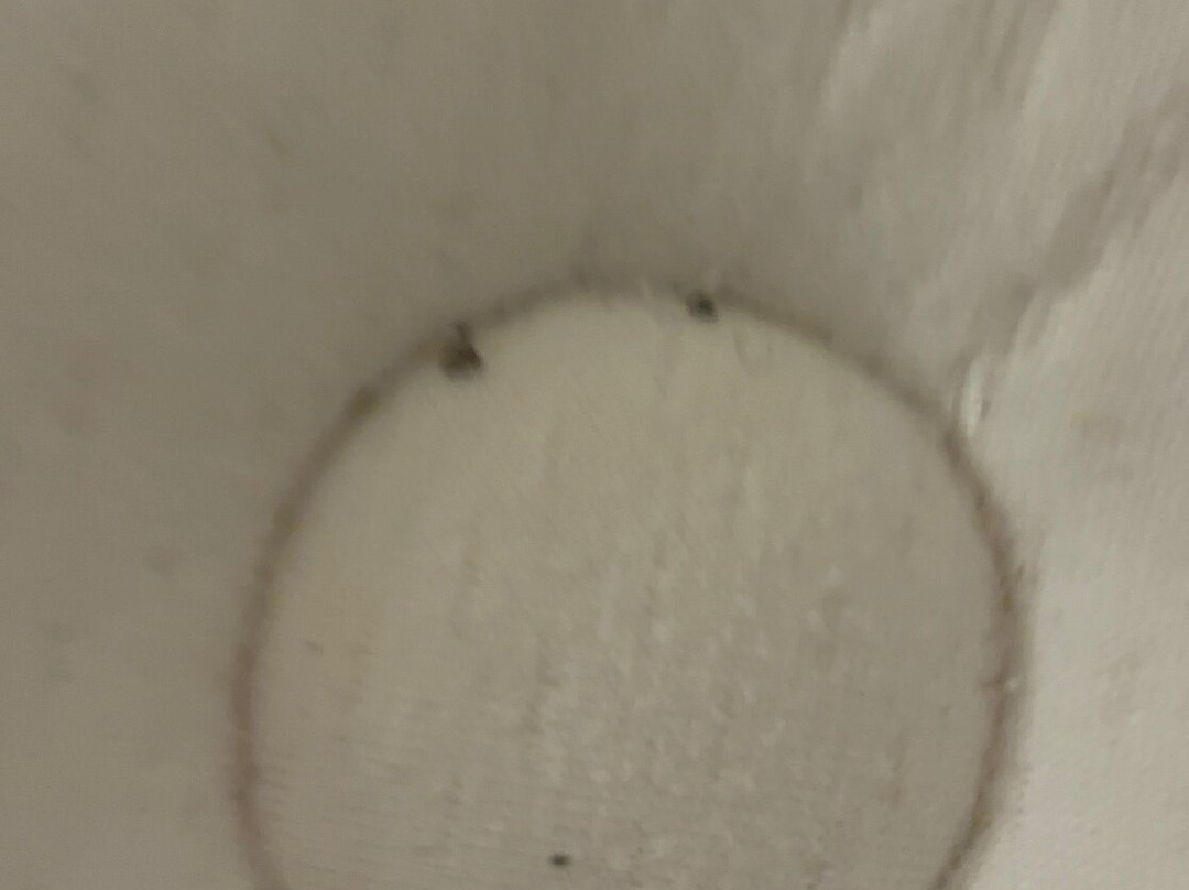 芝加哥迪尔菲尔德万豪酒店主图