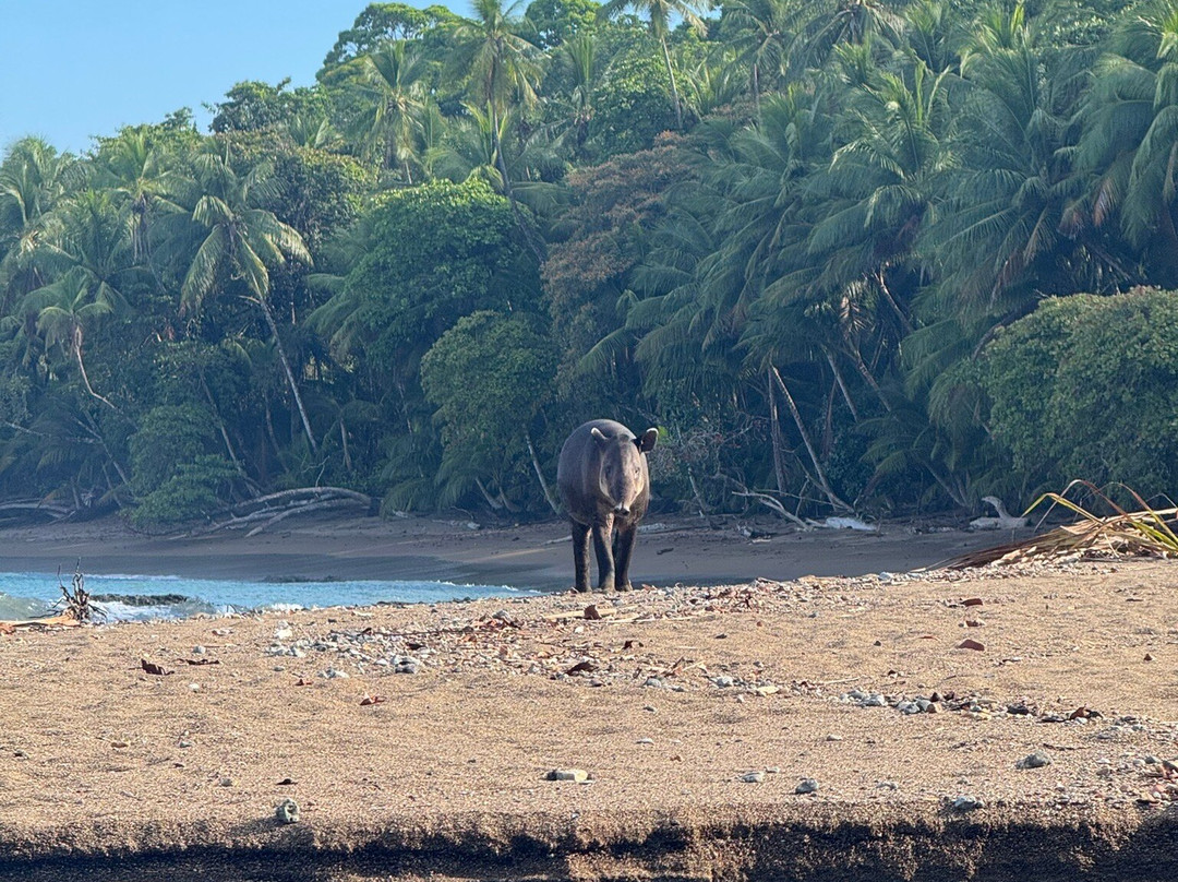 Corcovado Info Center-德雷克湾必去景点